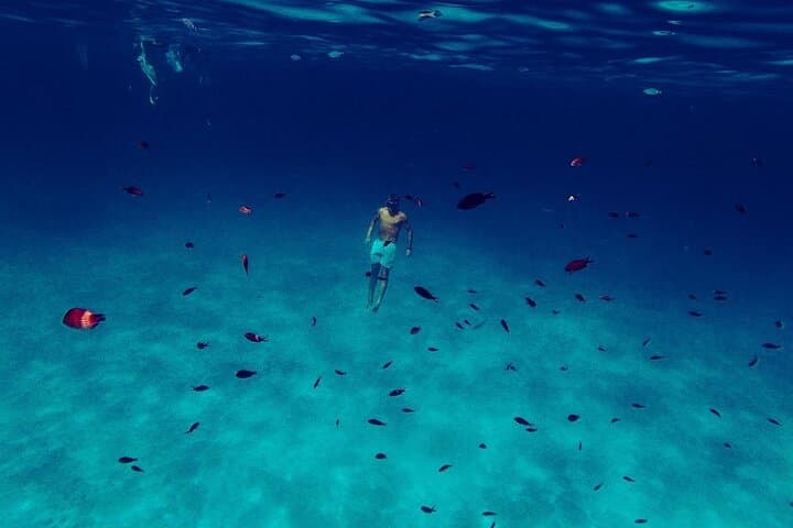 Snorkeling and Diving in the Gulf of Tavolara with Fishing 5