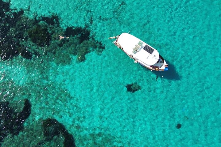 Snorkeling and Diving in the Gulf of Tavolara with Fishing 4