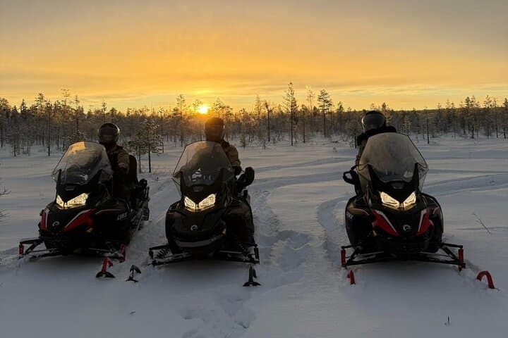 Husky Ride, Reindeer Ride and Snowmobiling Day Experience