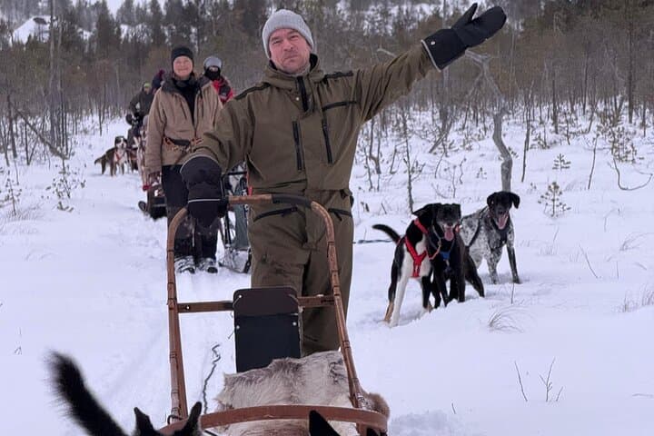 Husky Ride, Reindeer Ride and Snowmobiling Day Experience 2
