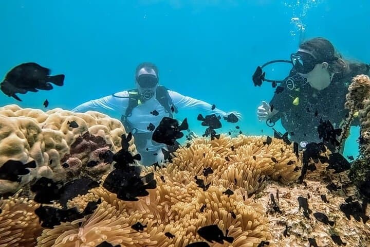 Teahupo'o Jurassic Tour and Private Diving 2