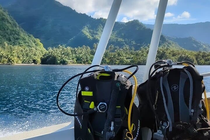 Teahupo'o Jurassic Tour and Private Diving