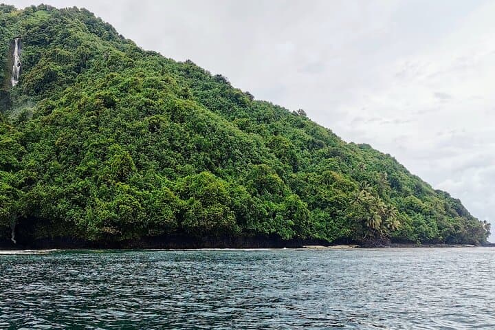 Teahupo'o Jurassic Tour and Private Diving 5