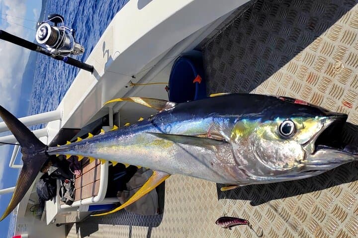 Offshore fishing around the Teahupo'o wave 2