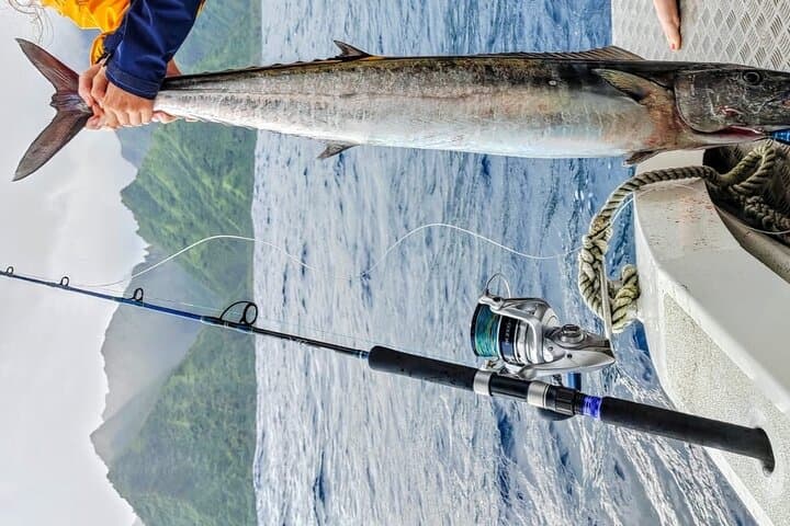 Offshore fishing around the Teahupo'o wave 4