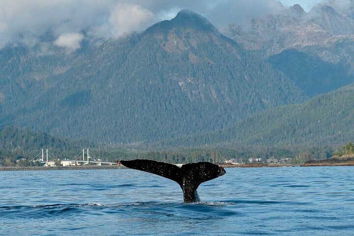 EcoFriendly Catch & Release Private Charter for Cruise Passengers 4