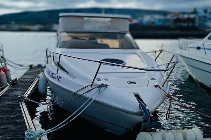 Boat trip and fishing southeast of Terceira Island 4h max. 6px