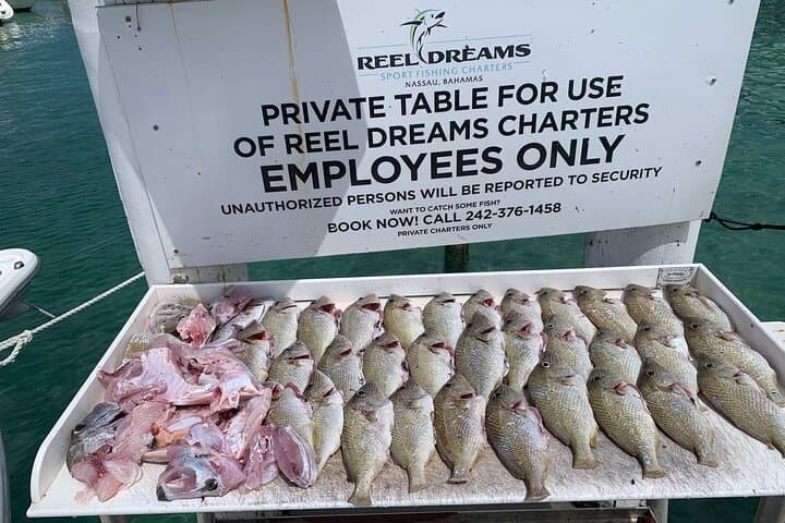 4 hours 34ft Day Dream Private Charter in Nassau 3