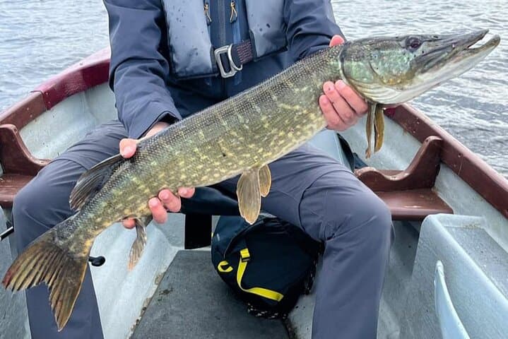 Pike fishing by boat.Lough Corrib,Connemara.English/French speaking Ghillie 2