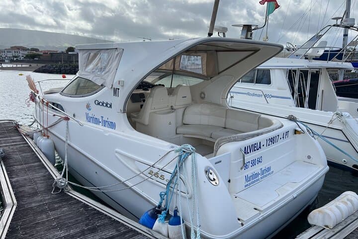 Boat trip and fishing southeast of Terceira Island 4h max. 6px 2