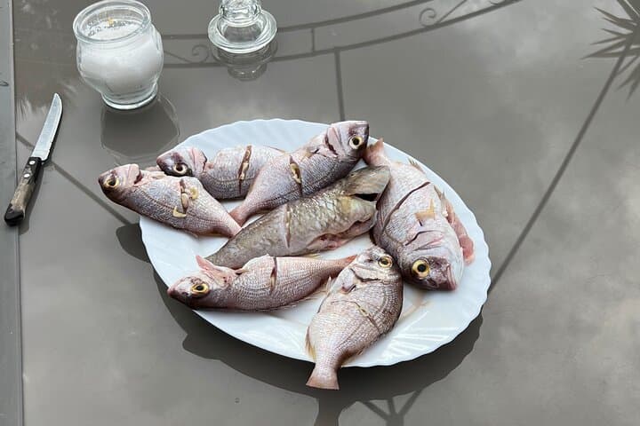 Boat trip and fishing southeast of Terceira Island 4h max. 6px 3