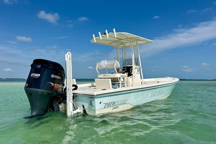 Half-Day Backcountry Fishing Charter from Key West 3