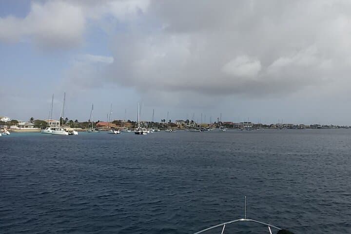 Private family day trip 2