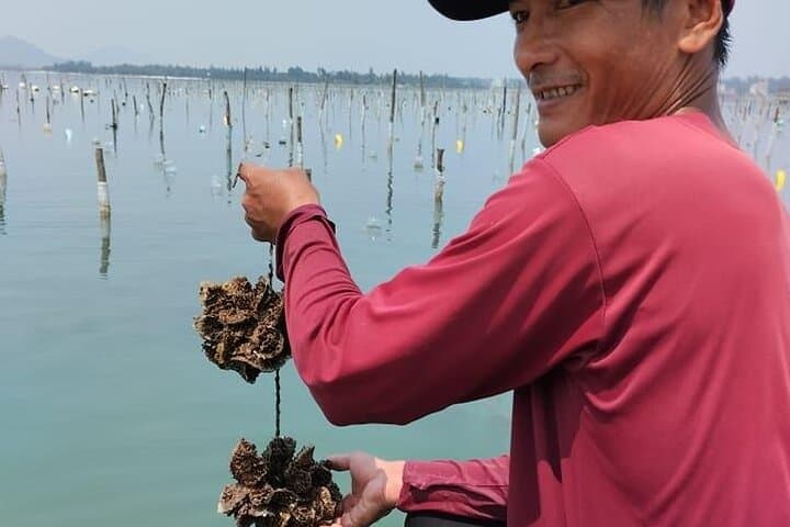Vietnam/Lang Co Oyster Tour by Fishing & Tasting Oyster Flavors 4