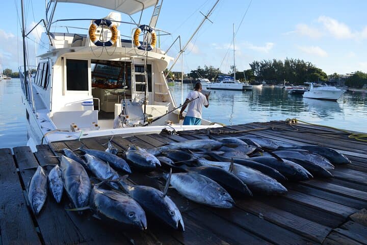 Private Grand Baie Mauritius Fishing Experience Tour 3