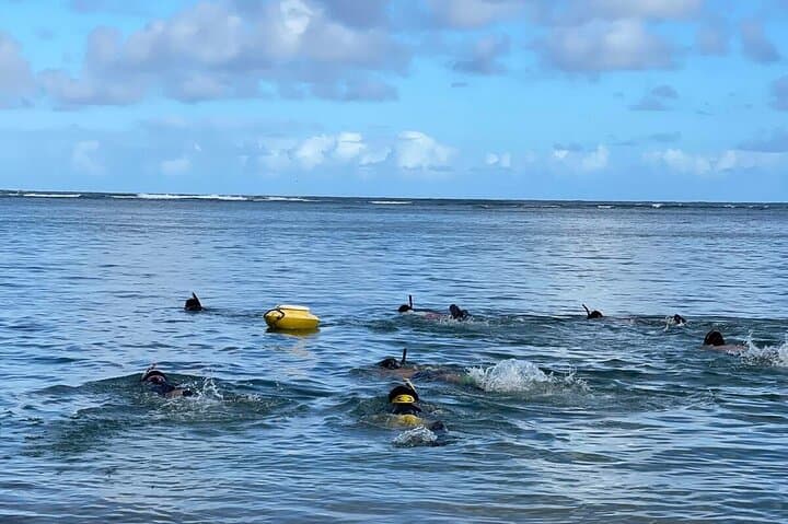 Hawaiian Reef Spearfishing Lesson for Beginners on Kauai 4