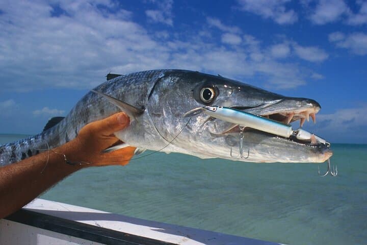 Private Key West Fishing & Sandbar or Snorkel Charter 