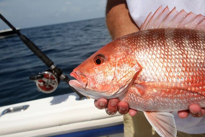Private Key West Fishing & Sandbar or Snorkel Charter  2