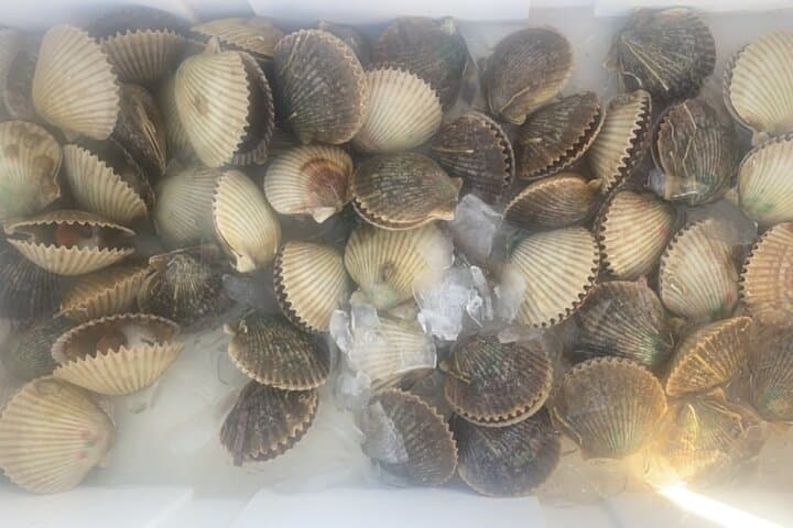 Ultimate Private Scalloping Adventure in Crystal River 4
