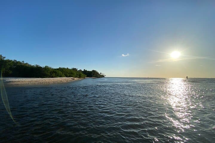 Ultimate Private Scalloping Adventure in Crystal River 5