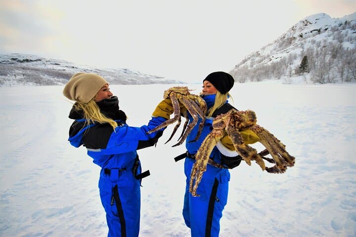 King Crab Safari and visit a Snowhotel from Saariselkä 3