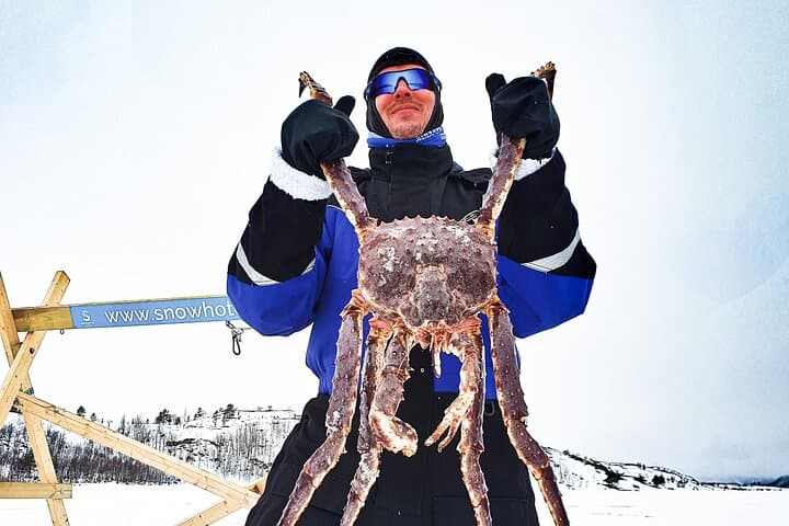 King Crab Safari and visit a Snowhotel from Saariselkä 5