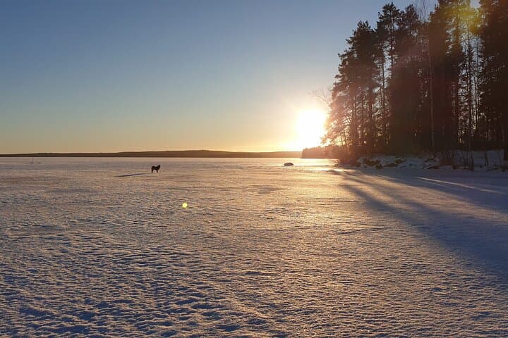 Small Group Ice Fishing Experience at The Frozen Lake 5