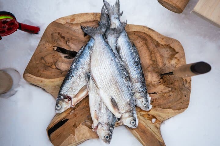  Rovaniemi Private Fishing Day with Lunch in a Igloo 5
