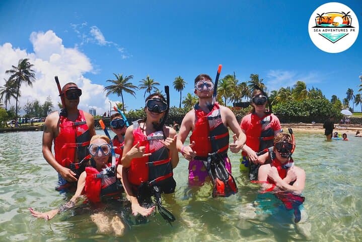 San Juan: Aventura VIP de Snorkel com Tartarugas & Vídeos Grátis - Photo 5