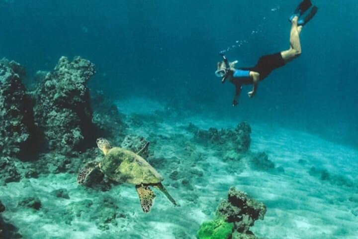 Fishing Charter and Tours 3