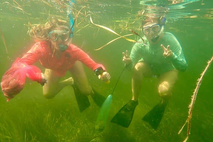 Premier Scalloping Adventure on Florida's Nature Coast 5