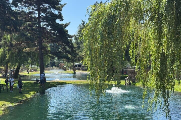 A Relaxing Day of Fishing and Fresh BBQ
