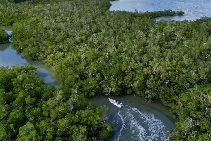 Naples Half-Day Fly Fishing Activity 4