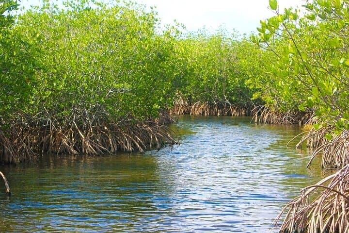 Naples Half-Day Fly Fishing Activity 5