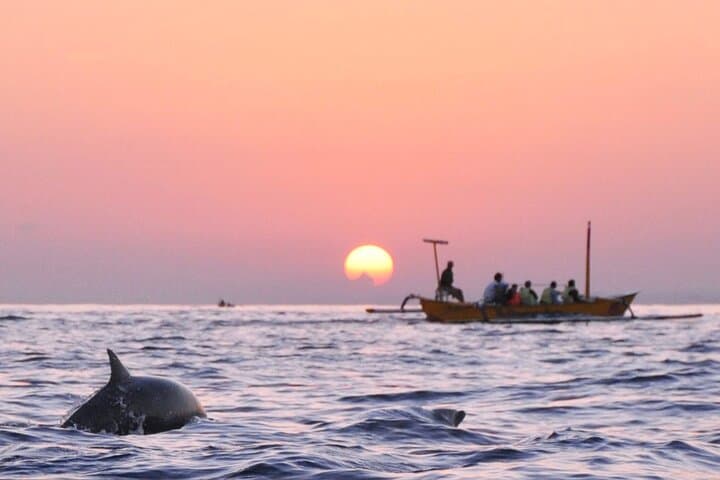 Lovina Family Adventure Dolphins, Sunrise and Fun Fishing  4