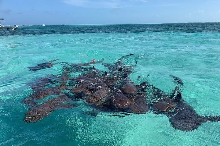  Snorkel, Fishing & Beach BBQ –All-Inclusive