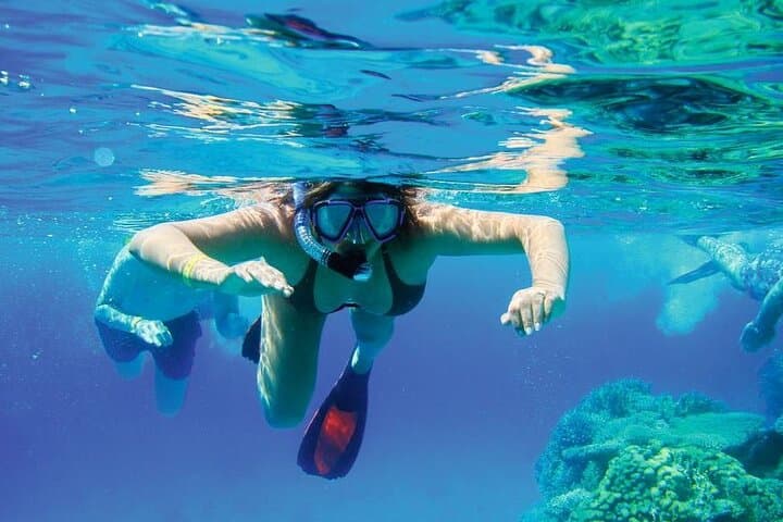 Snorkeling Excursion to Sosúa Bay and Lunch Puerto Plata 