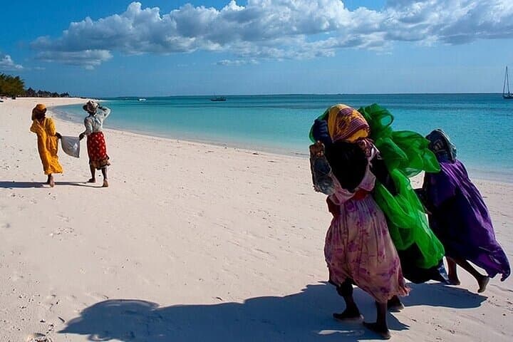 Nungwi Village & Swim with Sea Turtles With Transfer - Zanzibar