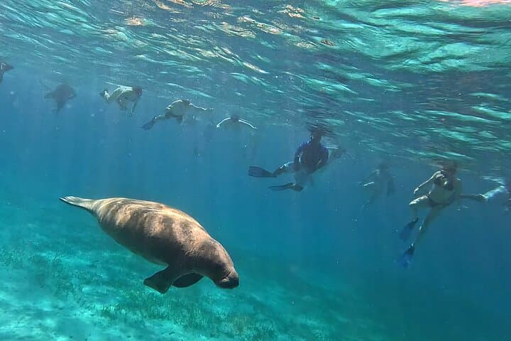Full Day Snorkeling Adventure in Belize  4