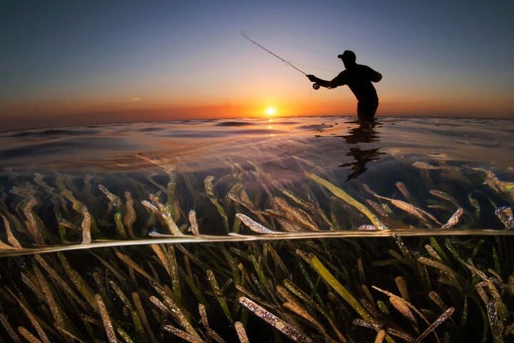 Roatan Deep Sea & Fly/Flats Fishing Adventures 2