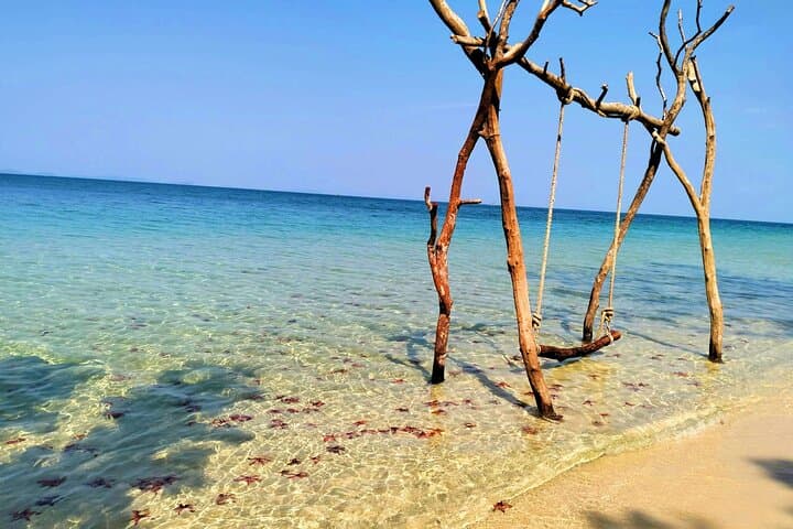 Starfish Beach and Floating Village Combo Boat Trip Seafood Lunch 2