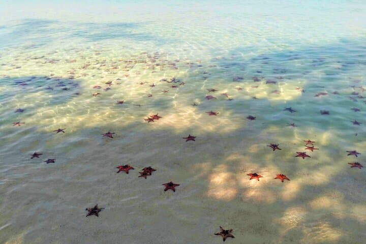 Starfish Beach and Floating Village Combo Boat Trip Seafood Lunch 3