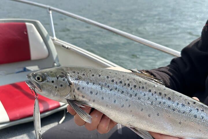 Lake Como Private Fishing Experience Half Day or Full Day 2