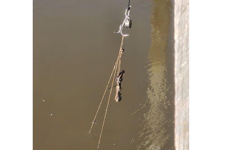 Magnet Fishing Adventure in Georgia Waterways 4