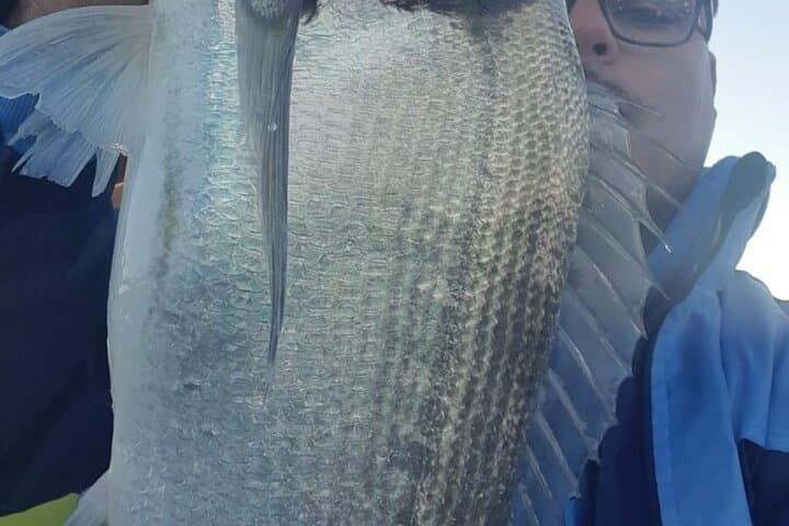 Private Fishing Tour in Manilva 4