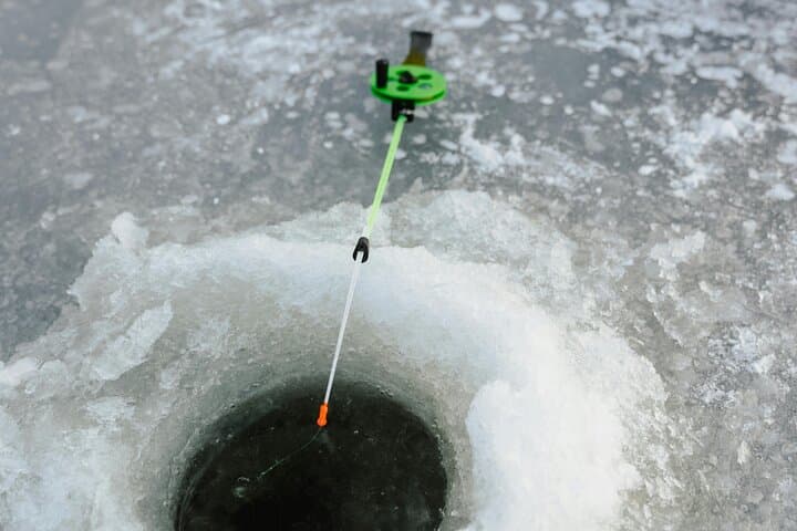 Lapland Wilderness Day Experience in Levi 2