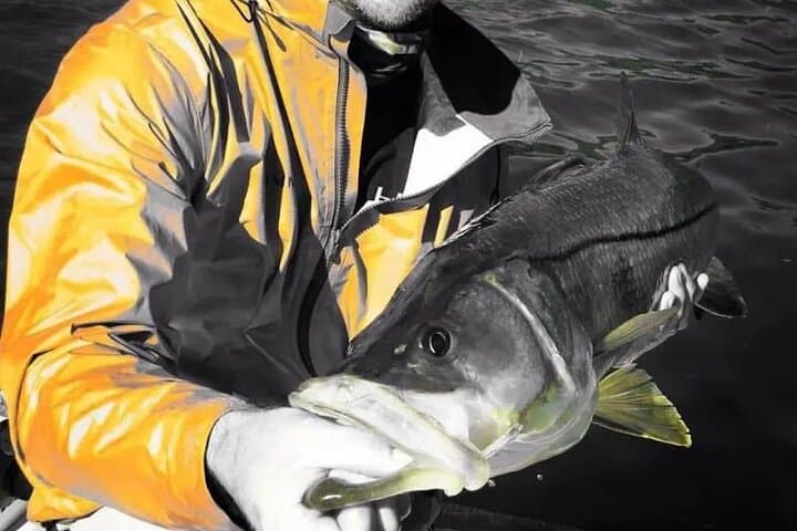 6 Hour Tarpon Springs, Florida Fishing Charter 2