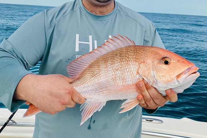 Charters de Pesca Épicos en Clearwater Beach, Florida