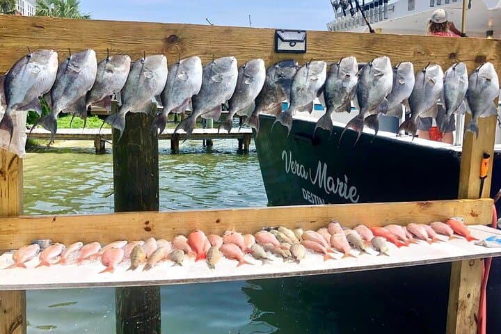 Destin: Party and Walk-On Fishing trip 5