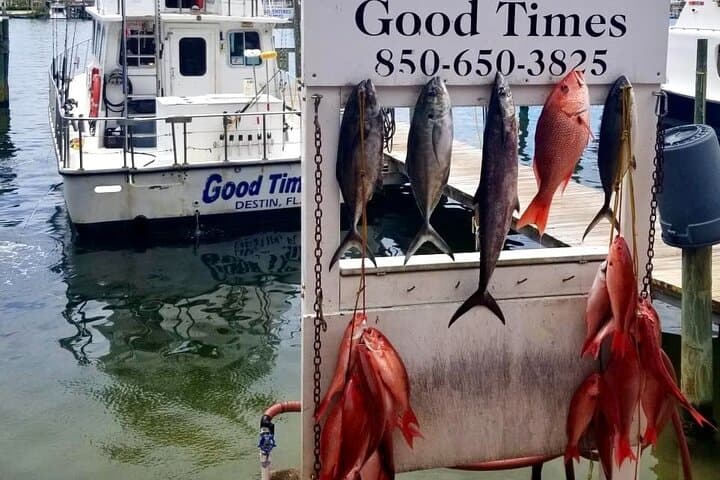 Shared Deep Sea Fishing Trip from Destin 4